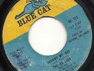 NORTHERN SOUL Ad Libs - Johnny My Boy LISTEN