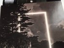THE 1975 FALLINGFORYOU - HAUNT / / BED  Vinyl 7
