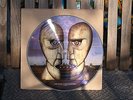 Pink Floyd The Division Bell Picture Disc LP top mint