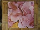 Still Life,Self-Titled Album,Vertigo Label,LP