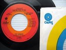 HONEYS goodnight my love tonight you belong to me BRIAN WILSON promo 45 CC139