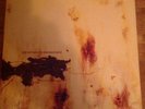 nine inch nails the downward spiral vinyl 1994 ILPSD 8012