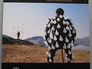 Pink Floyd - Delicate Sound Of Thunder (2 LP´s)