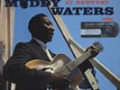 MUDDY WATERS - At Newport 1960 - Audiophile Blues LP-Records