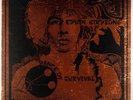 Edwin Birdsong   Dance of Survival LP   Bam Boo