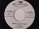 AL DOWNING: Down On The Farm / Oh Babe 45 (dj) rare Rockabilly
