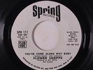FLOWER SHOPPE: You've Come Along Way Baby / Kill The Monster 45 (dj) rare Soul