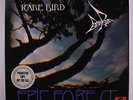 RARE BIRD: Epic Forest LP (WLP disc nearly new, promo toc, very sl cw, 1