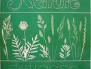 Tetragon / Nature (AS LP 007) Rare
