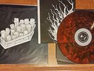 NEW The World Is A Beautiful Place Between Bodies LP Vinyl FIRE SWIRL Tigers Jaw