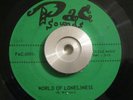 Soul/Funk 45 Equasions World Of Loneliness/So Hard To Say PAC SOUNDS EX Original