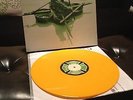 They Might Be Giants - Flood 2014 RSD YELLOW VARIANT - Only 100 Pressed RARE