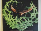 ??2 x LP DE**INADE - THE CRACKLING OF THE ANONYMOUS (LOKI FOUNDATION '01)??13331