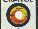 THE SURVIVORS   Pamela Jean/After The Game   Beach Boys/Brian Wilson   CAPITOL