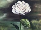 Tony Mimms lp Sos italian Prog Psych Funk listen