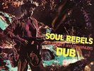 Bob Marley & The Wailers SOUL REBELS DUB Limited NEW SEALED Red Colored Vinyl LP