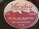 The Magnificents   Up On A Mountain / Why Did She Go   Vee-Jay 183 VG+ 1956