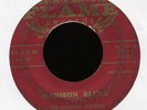 THE RAGING STORMS High Octane on Flame Instro Rockabilly Tittyshaker 45 Hear