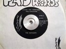 Garage/Psych 45 The Outcasts Loving You Sometimes/Sha-La-La PLATO NM w sleeve