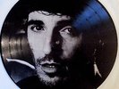 Bruce Springsteen & E Street Band - This Hard Land PicDisc Ltd. Edition