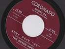 RARE EL PASO TX SURF The Beach Nuts THE LAST RIDE 45 Coronado hear