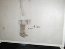 Alice LP Chicken Shed AJ 370