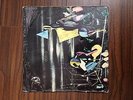 Freedoms Children ASTRA Original South African Psych Prog Grail POKORA