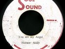 HEAR?RARE HORACE ANDY / YOU ARE MY ANGEL / SOUL SOUND