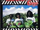 epic LP : CEDRIC MYTON & CONGOS-image of africa   (hear)
