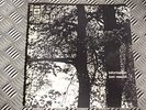 TONI VESCOLI INFORMATION ORIG. SWISS PSYCH FOLK LP PROG RARE POSTER SAUTERELLES