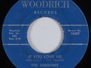 Garage 45 SHADOWS If You Love Me WOODRICH HEAR