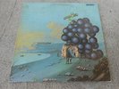 MOBY GRAPE-WOW-SKIP SPENCE-LP-VINYL-GF-TWO EYE-UNTITLED LABEL