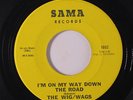 WIG WAGS: I'm On My Way Down The Road / The Goofy Google 45 (b-side written by