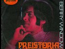BERRY WINDOW - PREISTORIA PREISTORIA / I WAIT FOR YOU - PLAYTIME - ZP 003