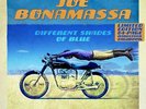 JOE BONAMASSA - DIFFERENT SHADES OF BLUE: PICTURE DISC VINYL ALBUM