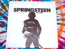 BRUCE SPRINGSTEEN The Jersey Devil HOFFMAN RECORDS 1975 GREEN SPLATTERED VINYL