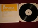 SIOUXSIE AND THE BANSHEES - Peel Sessions - V. Rare White Label SFPS012