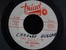 1R TRIAD 502 NORTHERN SOUL THE ARCADES JESSE MASON RON BADGER GOT TO BE A LOSER