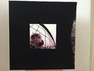 PEARL JAM Vs. Vitalogy Super Deluxe Box 5 x LP, 3 x CD, Book, Poster & inserts