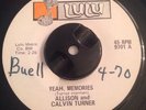 Funk Sweet Soul 45 ALLISON & CALVIN TURNER Shake What Mamma Gave You LULU VG++