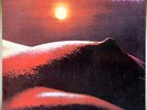 SEXY NUDE COVER COCHISE 1ST ALBUM HARD PROG ROCK FROM UK RARE LP