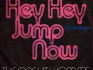 ONE HIT WONDERS: Hey Hey Jump Now (´72 / scarce orig. German 7