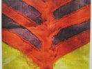 YEAH YEAH YEAHS 'Show Your Bones' Vinyl LP NEW & SEALED