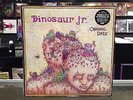 Dinosaur Jr 