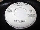 The Bruthers Bad Way To Go/Bad Love RCA 47-8920 promo white label NM rare garage