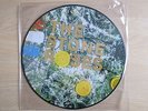 THE STONE ROSES The Stone Roses LP picture disc