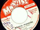 1971 BOSS REGGAE - MUSICAL PLEASURE - I ROY & THE MUDIES ALL STARS  - Sound Clip