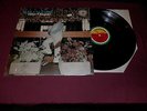 Rudy Calzado  Sals aY Alegria  SonoTropic Record