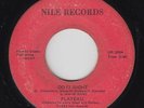Funk Boogie 45 - Plateau - Do It Right - Nile - mp3 - rare