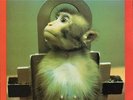 Animal Liberation LP (1987) Rare UK Compilation Album (The Smiths) WAX UK 25